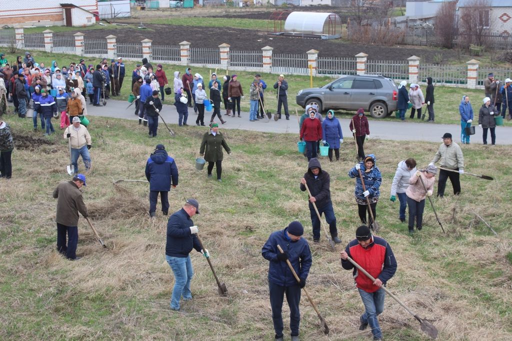 В Кайбицах состоялась природоохранная акция «День посадки леса»
