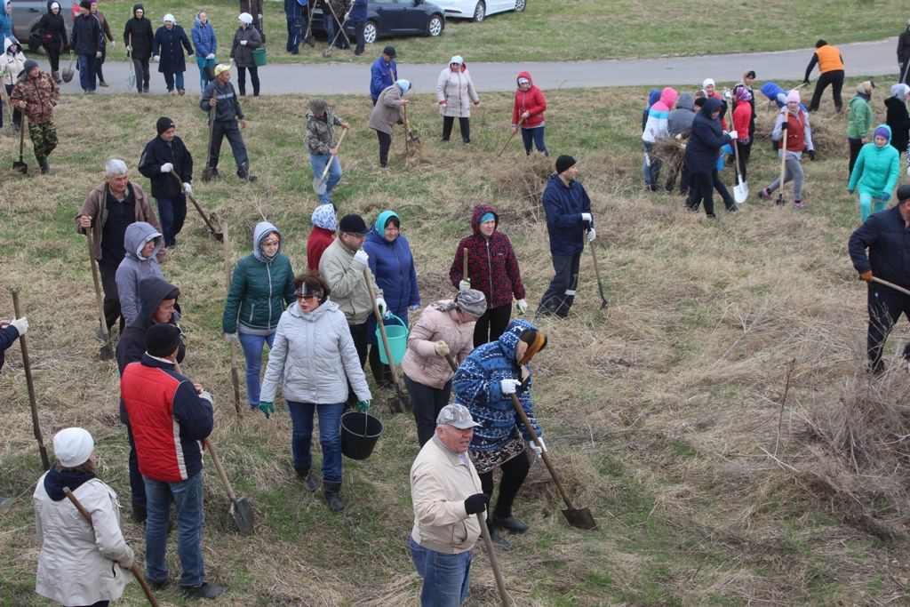 В Кайбицах состоялась природоохранная акция «День посадки леса»