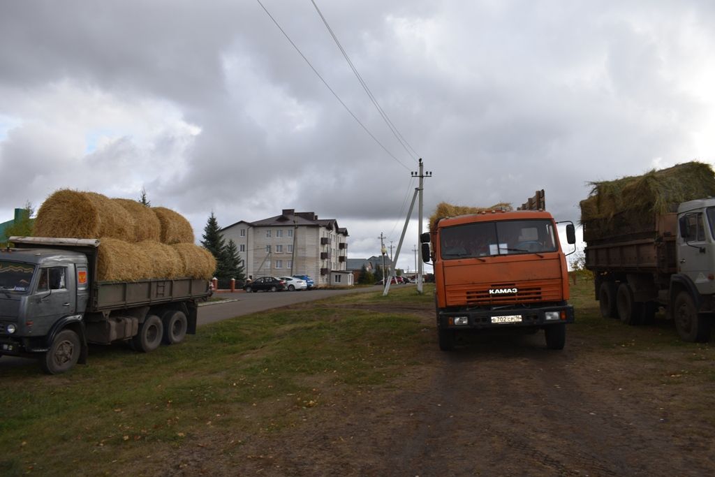 Кайбичан в воскресенье вновь ждут на ярмарке