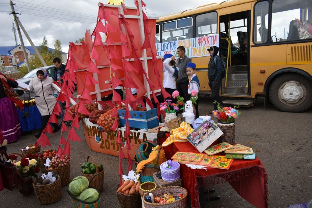 Школы района представили выращенный урожай на осенней ярмарке. Фото