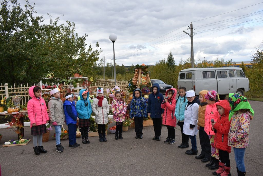 Школы района представили выращенный урожай на осенней ярмарке. Фото