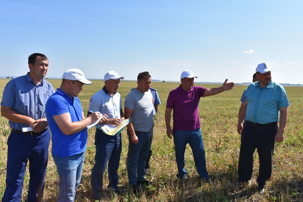 В Кайбицком районе побывал министр сельского хозяйства и продовольствия РТ Марат Ахметов