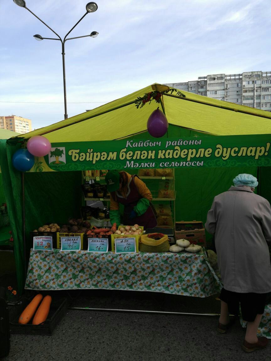 Кайбичане участвовали в сельскохозяйственной ярмарке в Казани