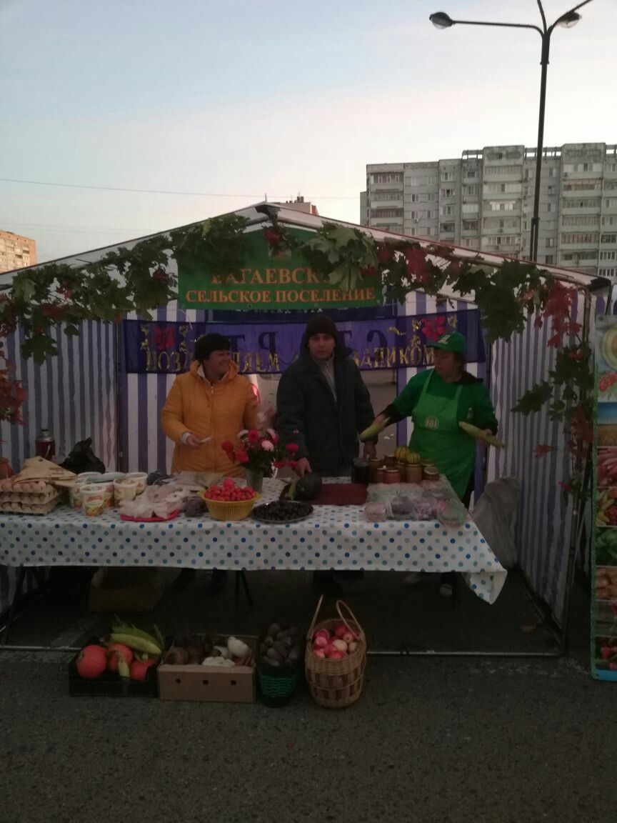 Кайбичане участвовали в сельскохозяйственной ярмарке в Казани