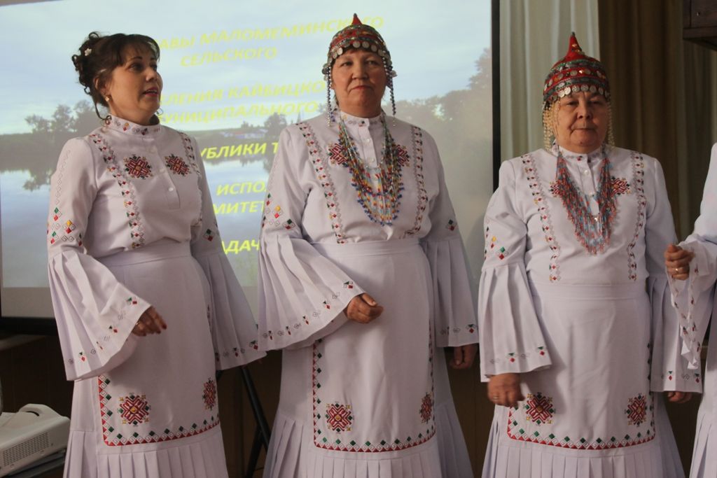 В Малых Мемях прошел сход граждан