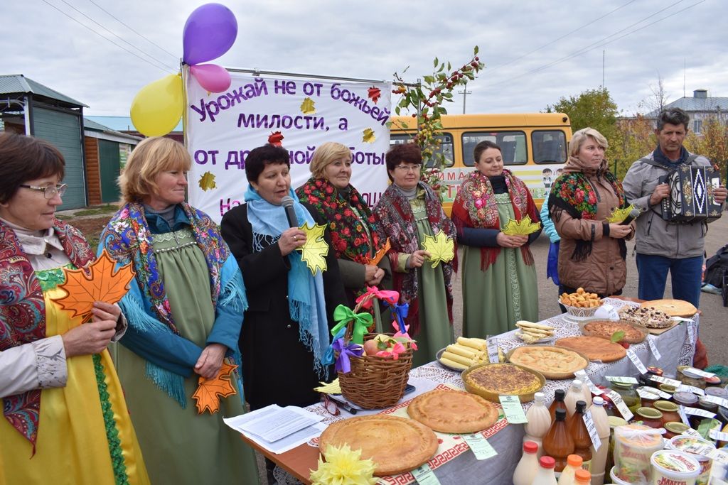 Школы района представили выращенный урожай на осенней ярмарке