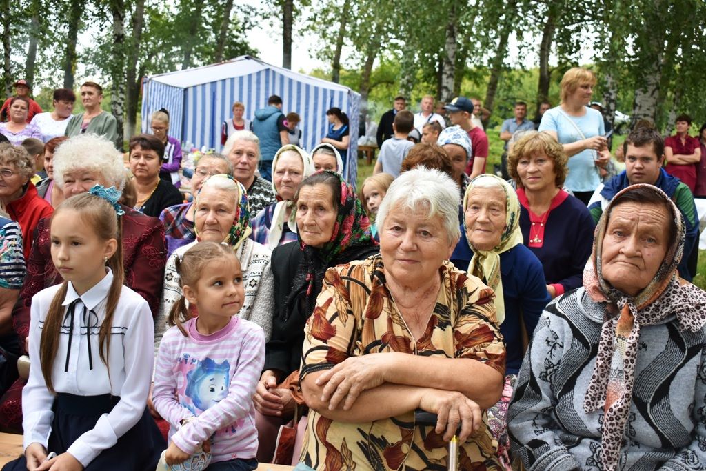 В Ульянкове прошел День села