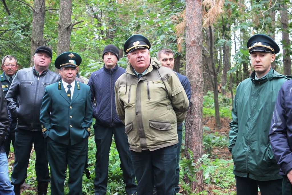На кайбицкой земле встретились служители леса шести районов. Фоторепортаж