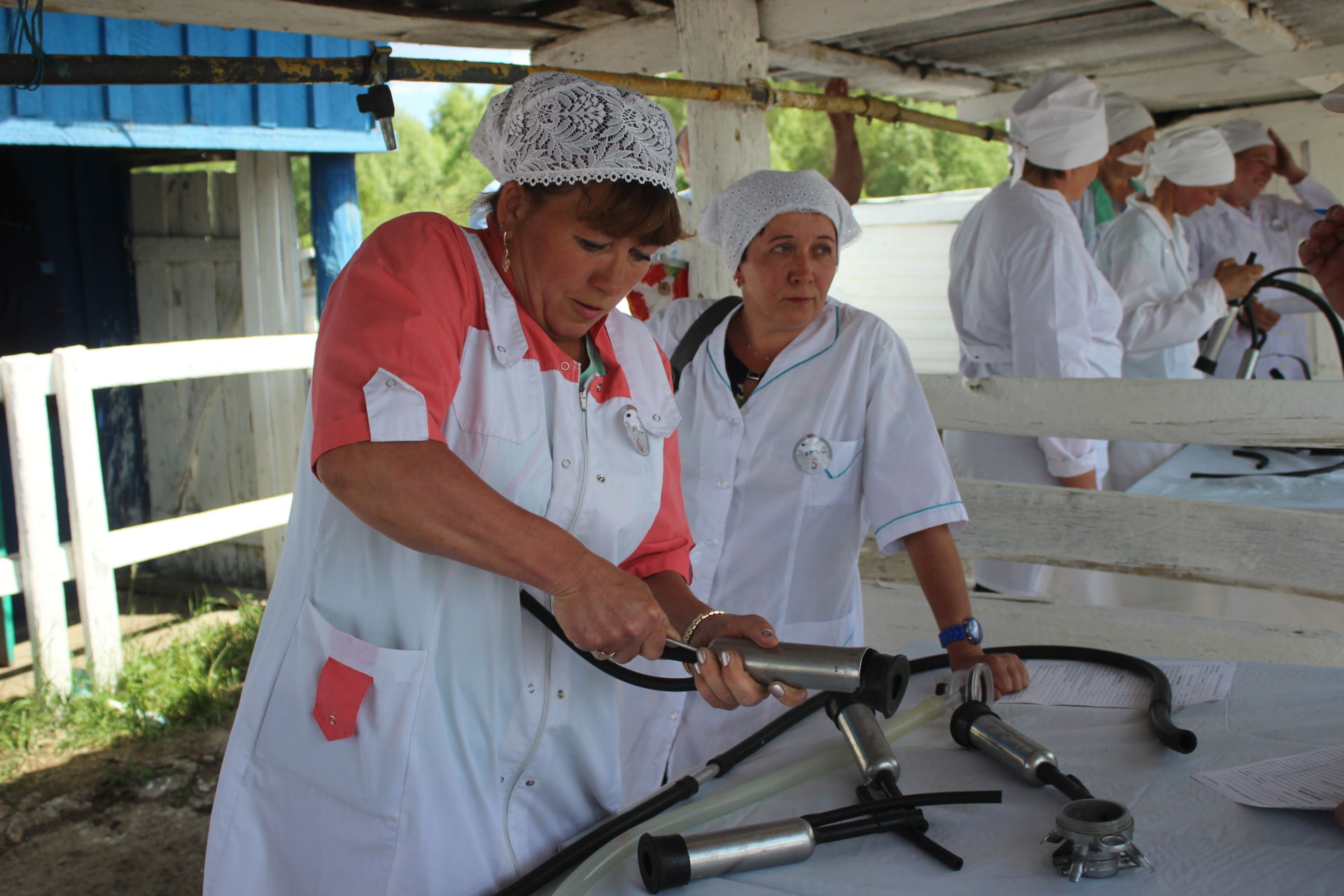В Кайбицком районе выявили лучших мастеров  в животноводстве