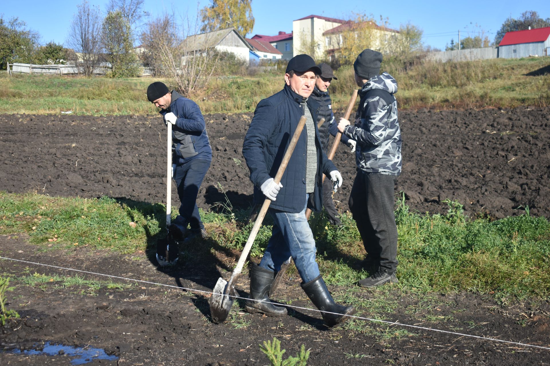 В Год семьи в Кайбицах высадили ели в новом парке