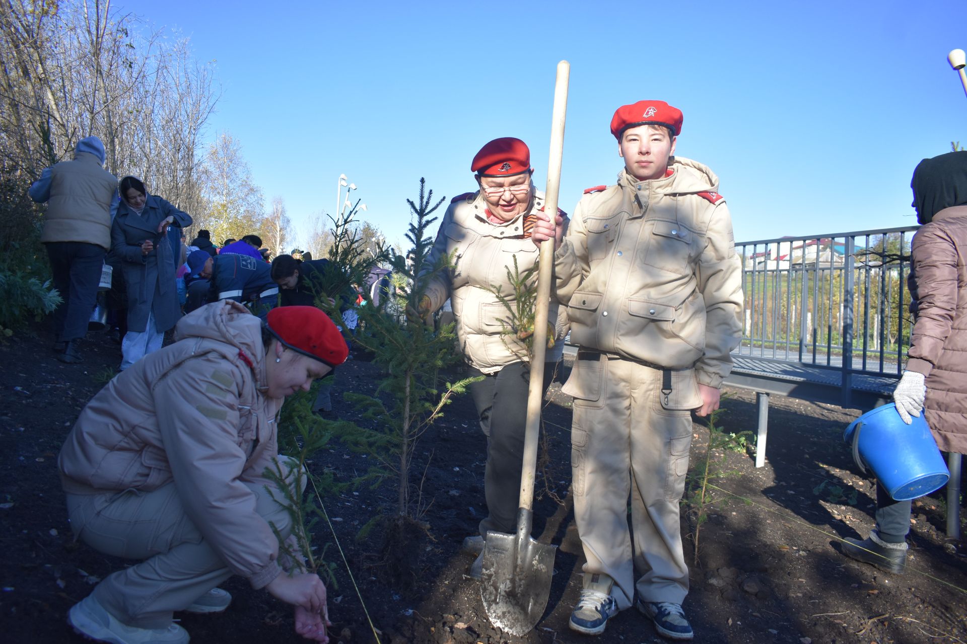 В Год семьи в Кайбицах высадили ели в новом парке