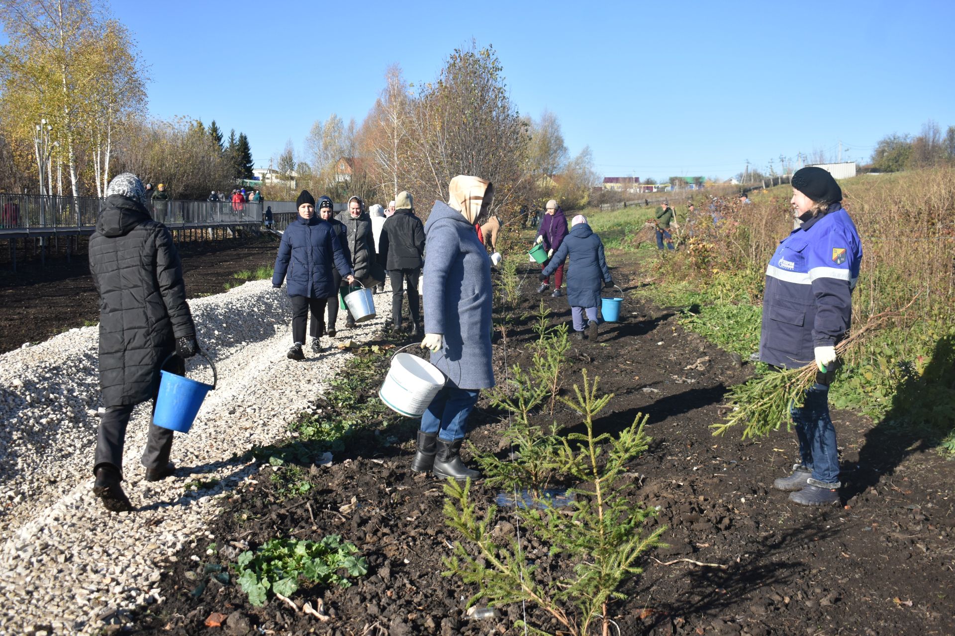 В Год семьи в Кайбицах высадили ели в новом парке