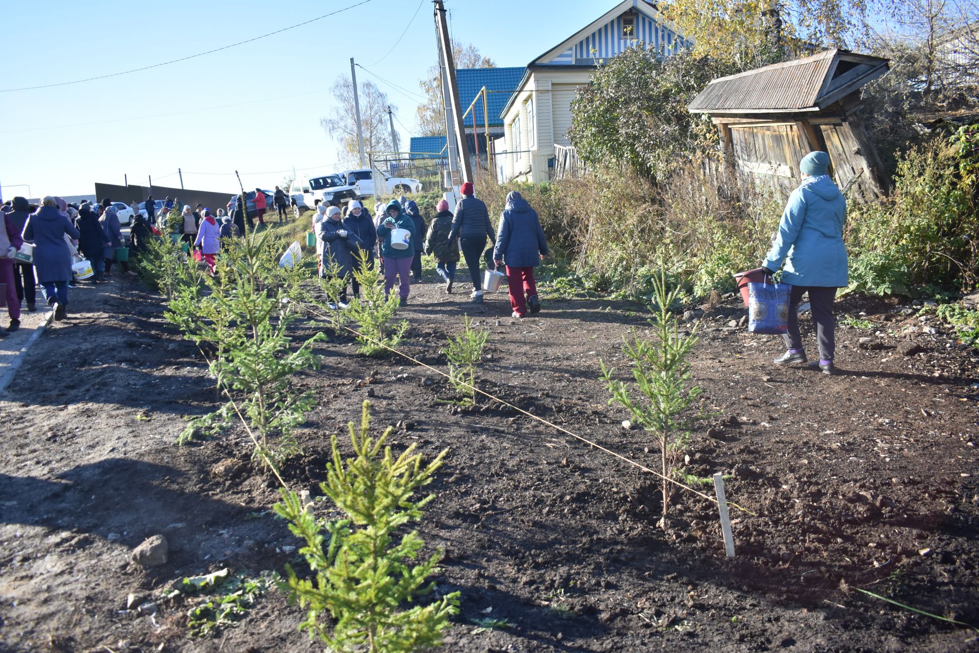 В Год семьи в Кайбицах высадили ели в новом парке