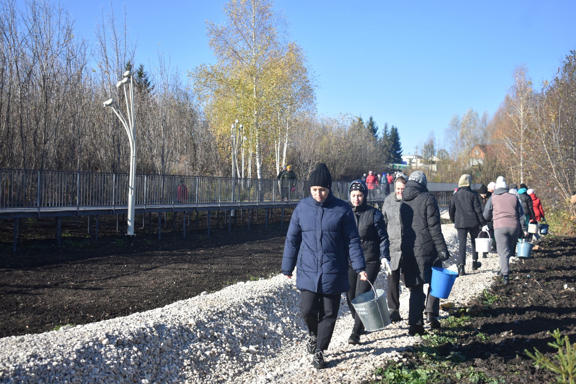 В Год семьи в Кайбицах высадили ели в новом парке