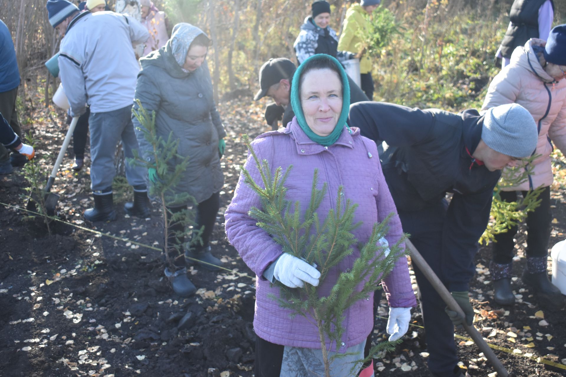 В Год семьи в Кайбицах высадили ели в новом парке