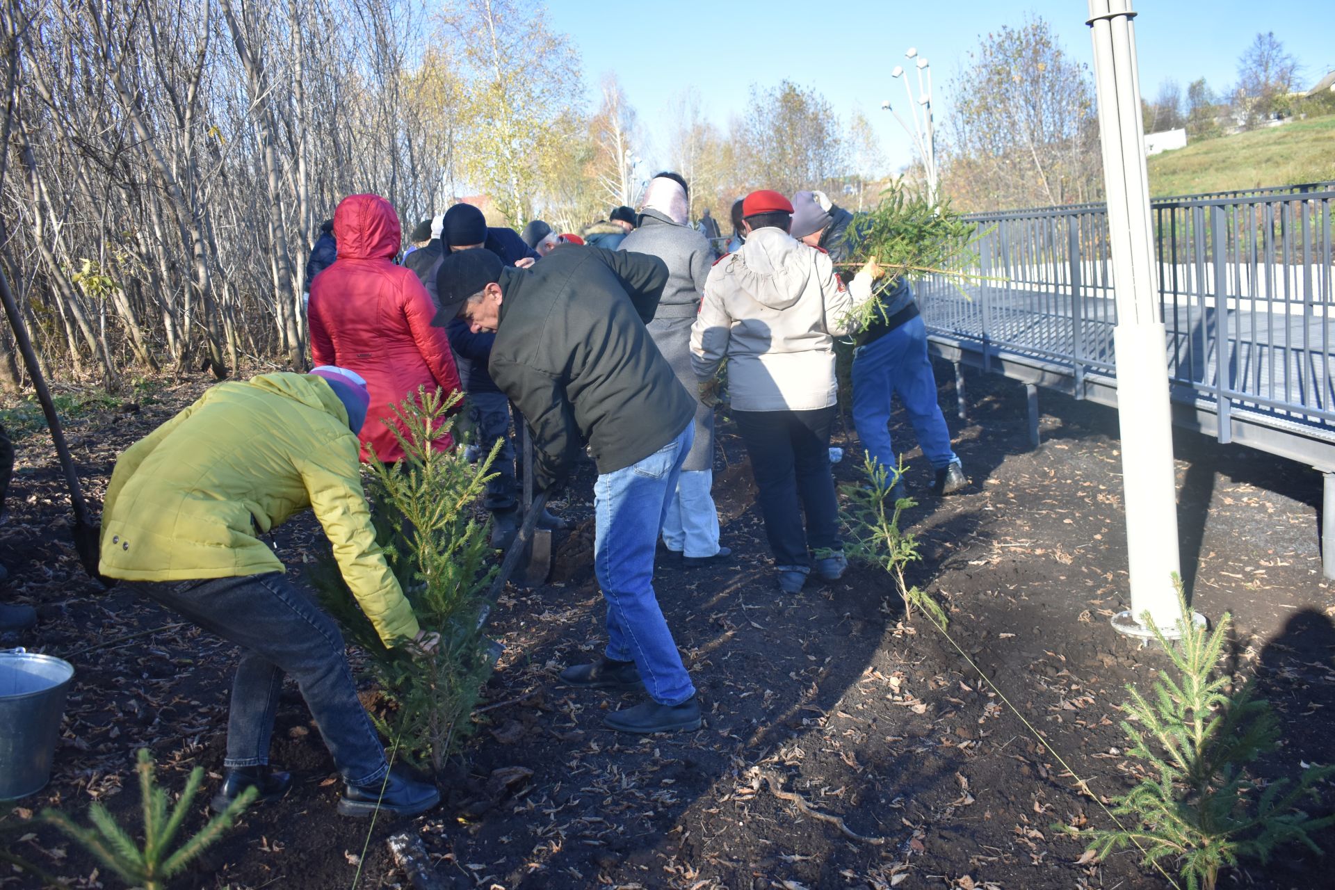 В Год семьи в Кайбицах высадили ели в новом парке