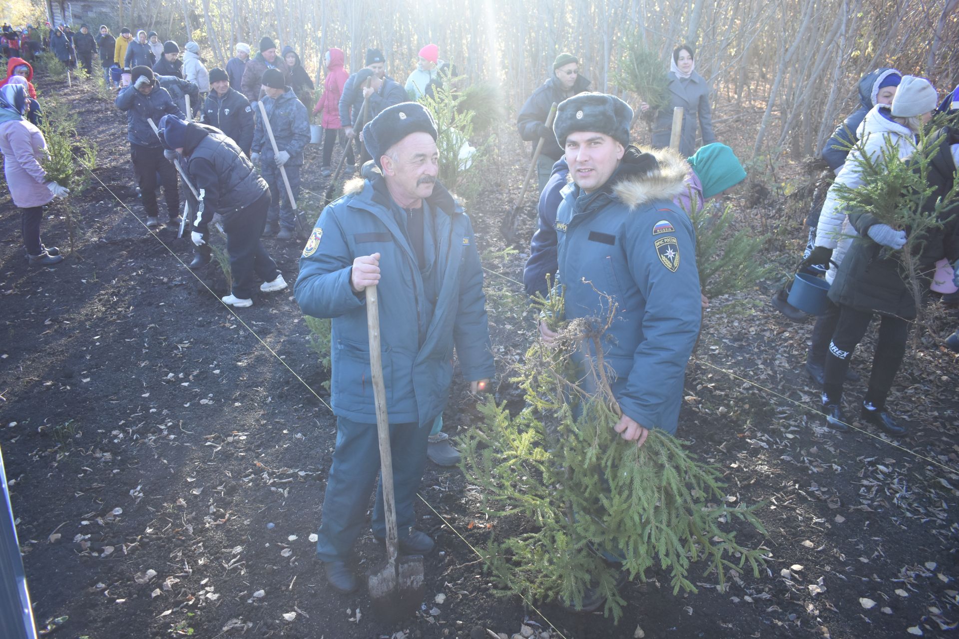 В Год семьи в Кайбицах высадили ели в новом парке