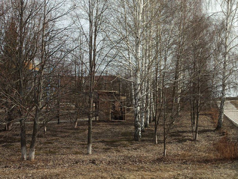 Инспектор пожарного надзора Кайбицкого  района: Не поджигайте сухую траву!