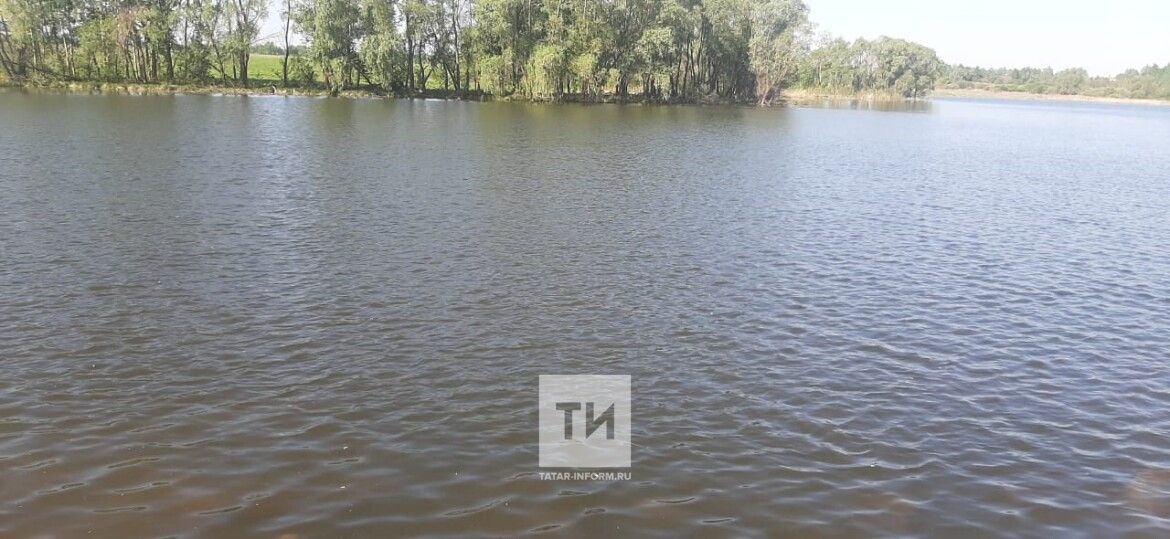 В пруду в Буинском районе нашли тело утонувшего мужчины