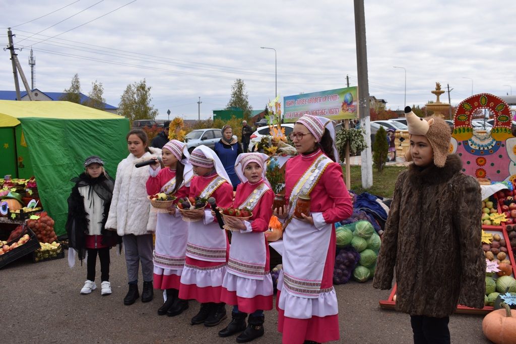 Ярмарка "Дары осени" в Кайбицах