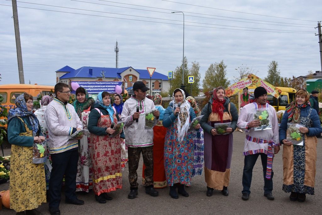 Ярмарка "Дары осени" в Кайбицах