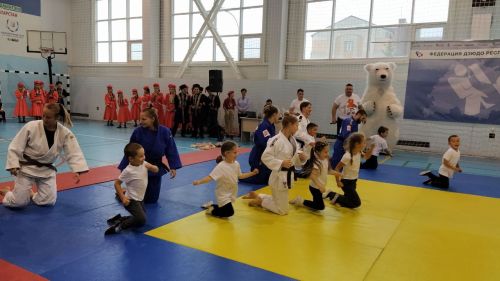 В Кайбицах открыли новые секции дзюдо для детей