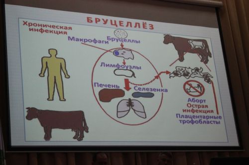 В Кайбицах состоялось внеочередное заседание комиссии по предупреждению и ликвидации чрезвычайных ситуаций и обеспечению пожарной безопасности