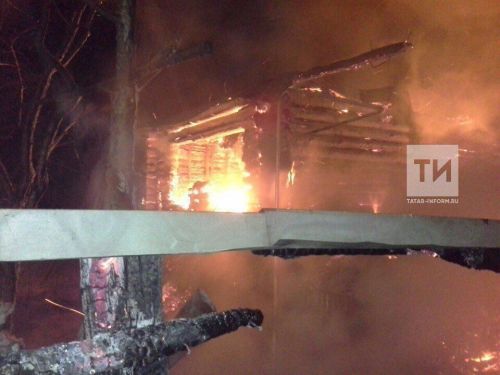 В одном из сел Татарстана во время пожара на ферме погибли 25 телят
