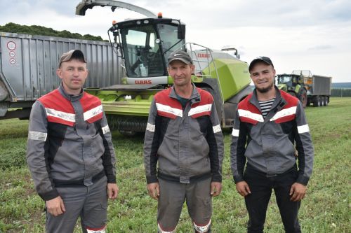 Кайбычлылар яшел уракка төште
