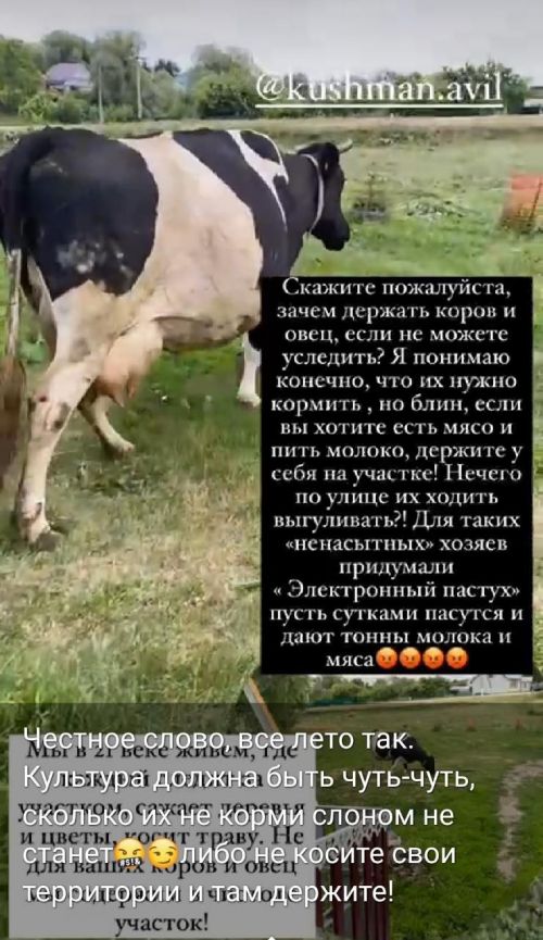 Правила едины для всех жителей поселения