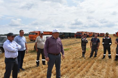 Басуларда комбайннар гөрелтесе