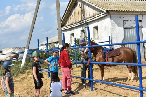 Басуларда комбайннар гөрелтесе