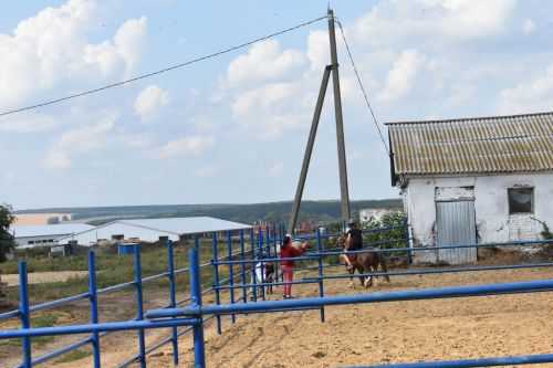 Басуларда комбайннар гөрелтесе