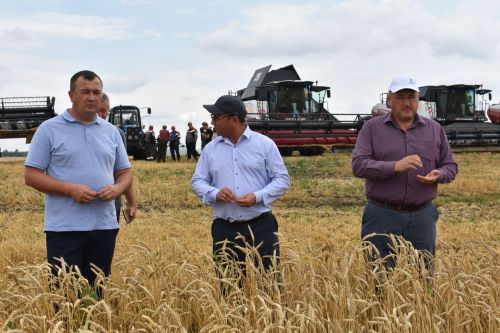 Басуларда комбайннар гөрелтесе