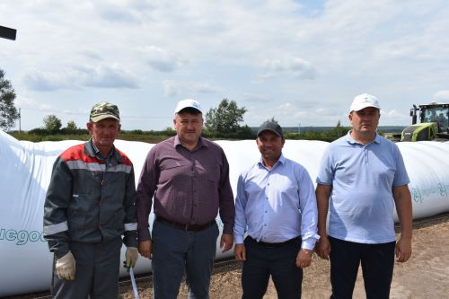 Басуларда комбайннар гөрелтесе