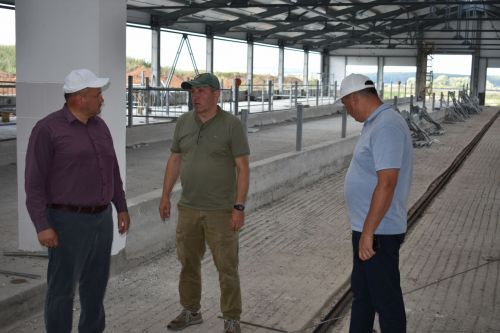 Басуларда комбайннар гөрелтесе