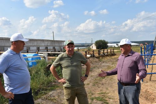 Басуларда комбайннар гөрелтесе