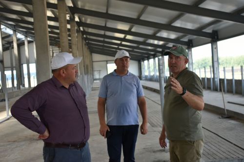 Басуларда комбайннар гөрелтесе