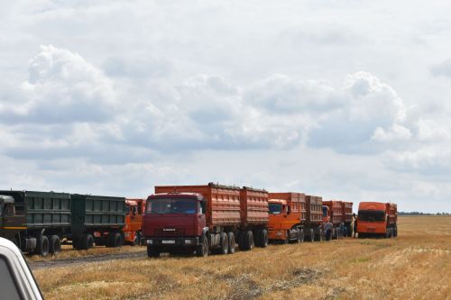 Басуларда комбайннар гөрелтесе
