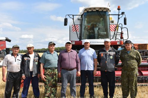 На полях Кайбицы кипит работа
