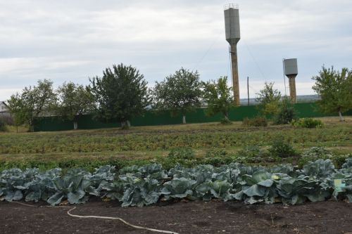 Кайбычта комиссия мәктәпләрнең яңа уку елына әзерлеген бәяләде