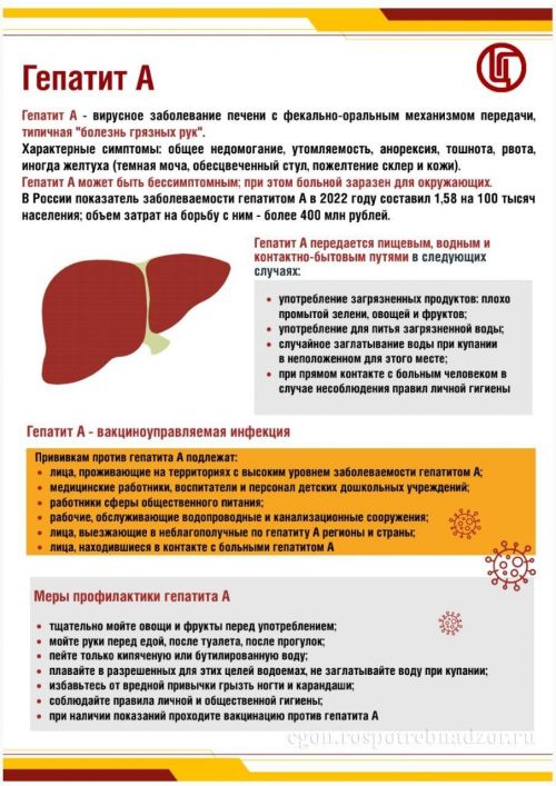 Гепатит А: болезнь грязных рук