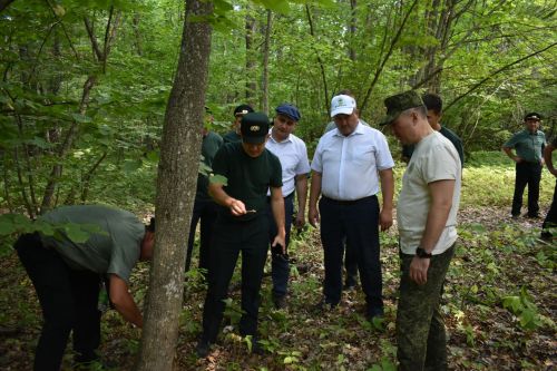 В Кайбицком лесничесте состоялся зональный семинар-совещание по вопросам защиты лесов от непарного шелкопряда