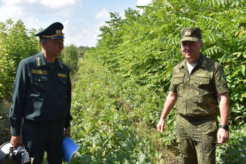 В Кайбицком лесничесте состоялся зональный семинар-совещание по вопросам защиты лесов от непарного шелкопряда