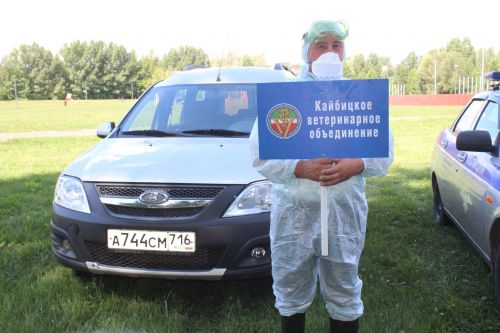 В Кайбицком районе прошли командно-штабные учения по ликвидации очага африканской чумы свиней и гриппа птиц