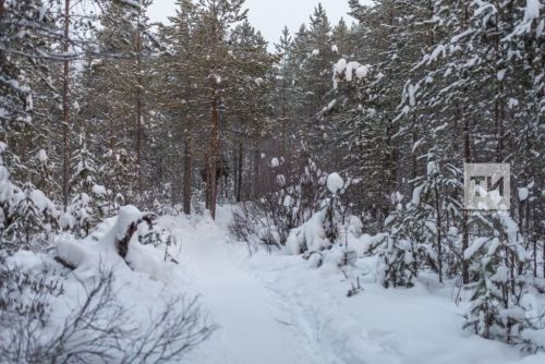 В Татарстане ожидаются небольшой снег и ветер