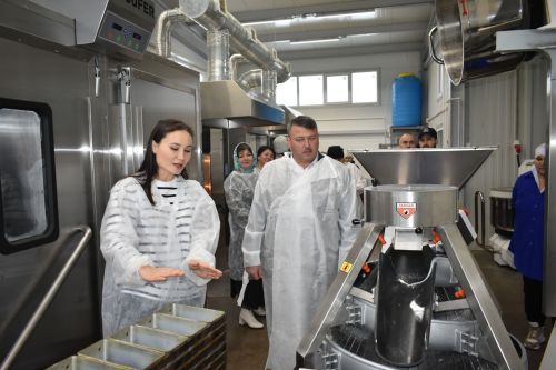 Сила притяжения родной земли