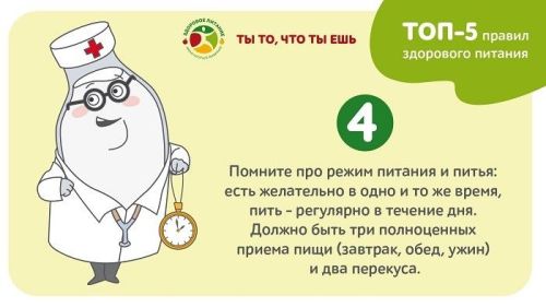 Топ-5 правил составления рациона для взрослых и детей от спецпроекта «Ты то, что ты ешь»