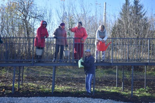 В Год семьи в Кайбицах высадили ели в новом парке