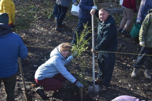 В Год семьи в Кайбицах высадили ели в новом парке